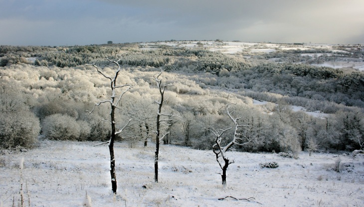 Walking in a Winter Wonderland by Carey Beor