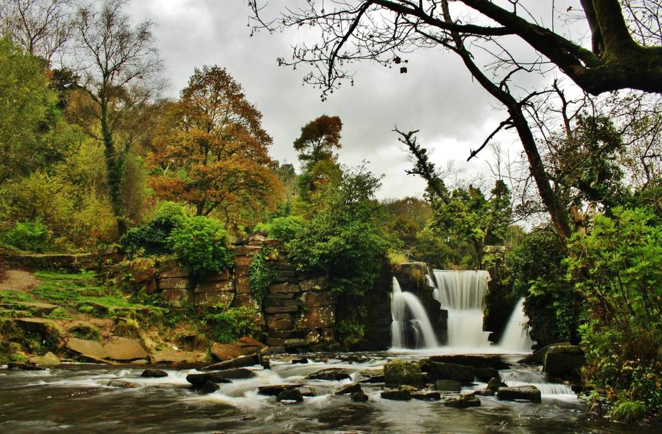The Waterfall in Autumn 2014. Photo by Carey Beor