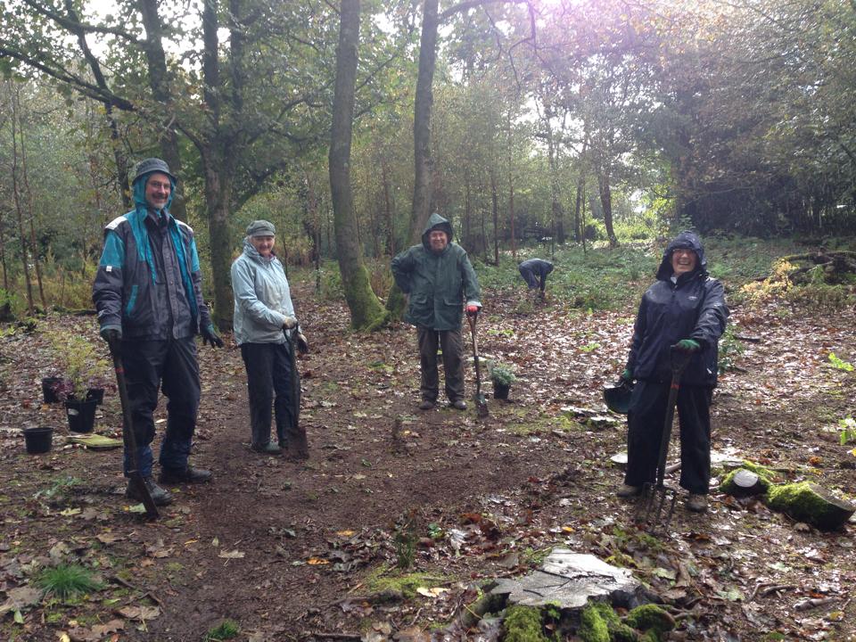 Rain or Shine Woodland Volunteers - Oct 2014. 