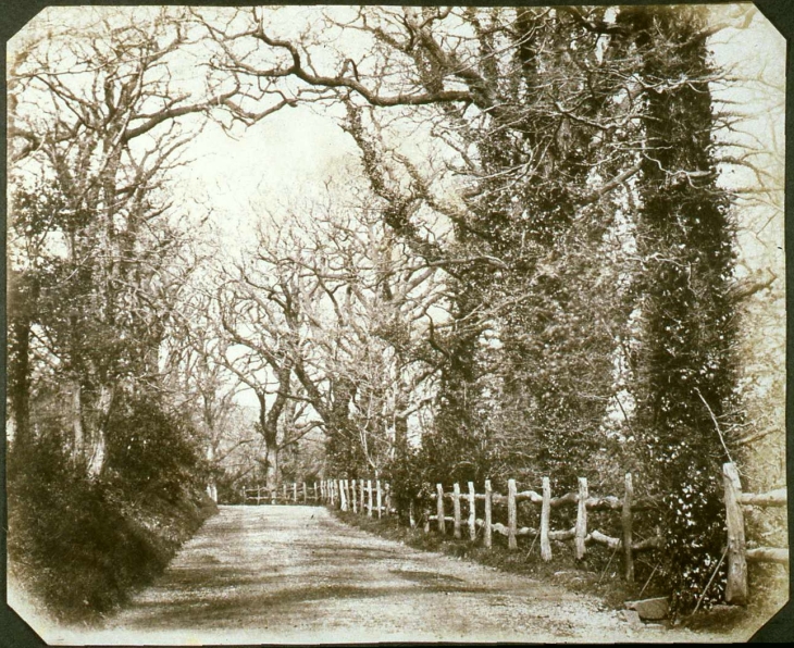 Carriage Drive. Photo by John Dillwyn Llewelyn. 19th Century.
